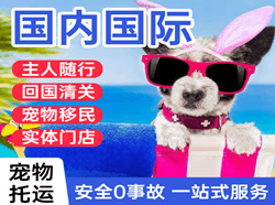 长沙黄花航空货运国际宠物托运 【国